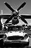 Old_car_land