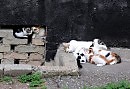 Поехали отдыхать на море