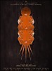 Wall light - SPACE AND OCEANS | ORANGE