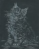 Гравюра " Котёнок мейн - кун"