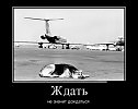Позабытые