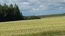 Родные просторы.
