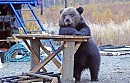 ПАРОДИЯ: Себя, почувствовав поэтом…