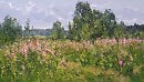 Июльский пейзаж 2018 двп.м 35х60(07.20)