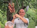 ГРАФОМАН – ГЕНИЙ …