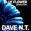 Dave N.T. - Blue Flower (Spring Story)