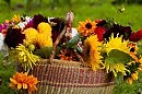 Утро завтрашнего дня