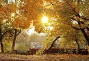 Autumn sun