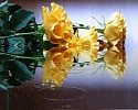 ЖЁЛТЫЕ РОЗЫ - НЕ СИМВОЛ РАЗЛУКИ (Музыка и исполнение Михаила Осипова)