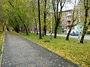 Серые пятна
