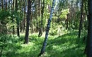 ВТОРОЙ НОМЕР МУЗЫКАЛЬНО-ЛИТЕРАТУРНОГО АЛЬМАНАХА "ТУЛЬСКАЯ СТОРОНКА"