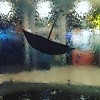 Дождь. Под гитарку... Андрей Андриянов.✨