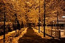 немного пошлости