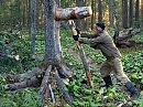 Колот и всё остальное
