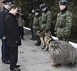 Шок
