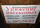 Злая песня