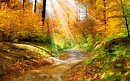 Осень золотая