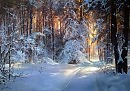 кристалл    льда