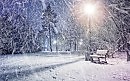 Alexy.Nov - December