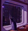 ХИТ,,MYSTICS,,