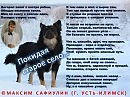 Покидая старое село... (Максим Сафиулин)