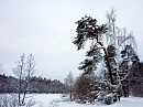 КАКАЯ ТИШЬ...