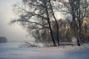 ЗИМА