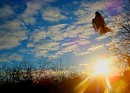 Январская благодать