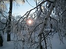 Я загляделась на солнце, а оно любовалось зимним лесом