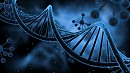 Double helix