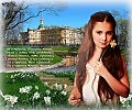 Сон о нарциссах