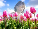 Гимн тюльпанных лепестков...