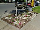 Декоративная   клумба   в    Ивано - Франковске