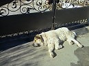 На пенсии,а работать надо...