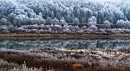 Иней