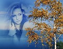 БЕЛАЯ БЕРЁЗА (КАВЕР - ВЕРСИЯ)