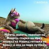 Люблю я веселиться - особенно пожрать.
