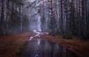 Осенний лес