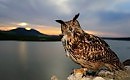 Герда, кай, и Курт..