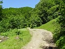 В   Рахове