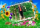 "Звёздное лето"