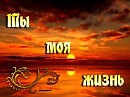 ТЫ МОЯ ЖИЗНЬ - текст. Константин Шишлин