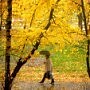 Песня осени