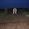 Зимник