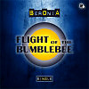 Flight of the Bumblebee / Полёт шмеля