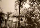 Хата