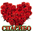 ВСЕМ ОГРОМНОЕ СПАСИБО!!!