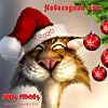 Новогодний кот.