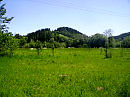 В   Старуне