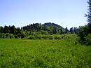 В   Старуне